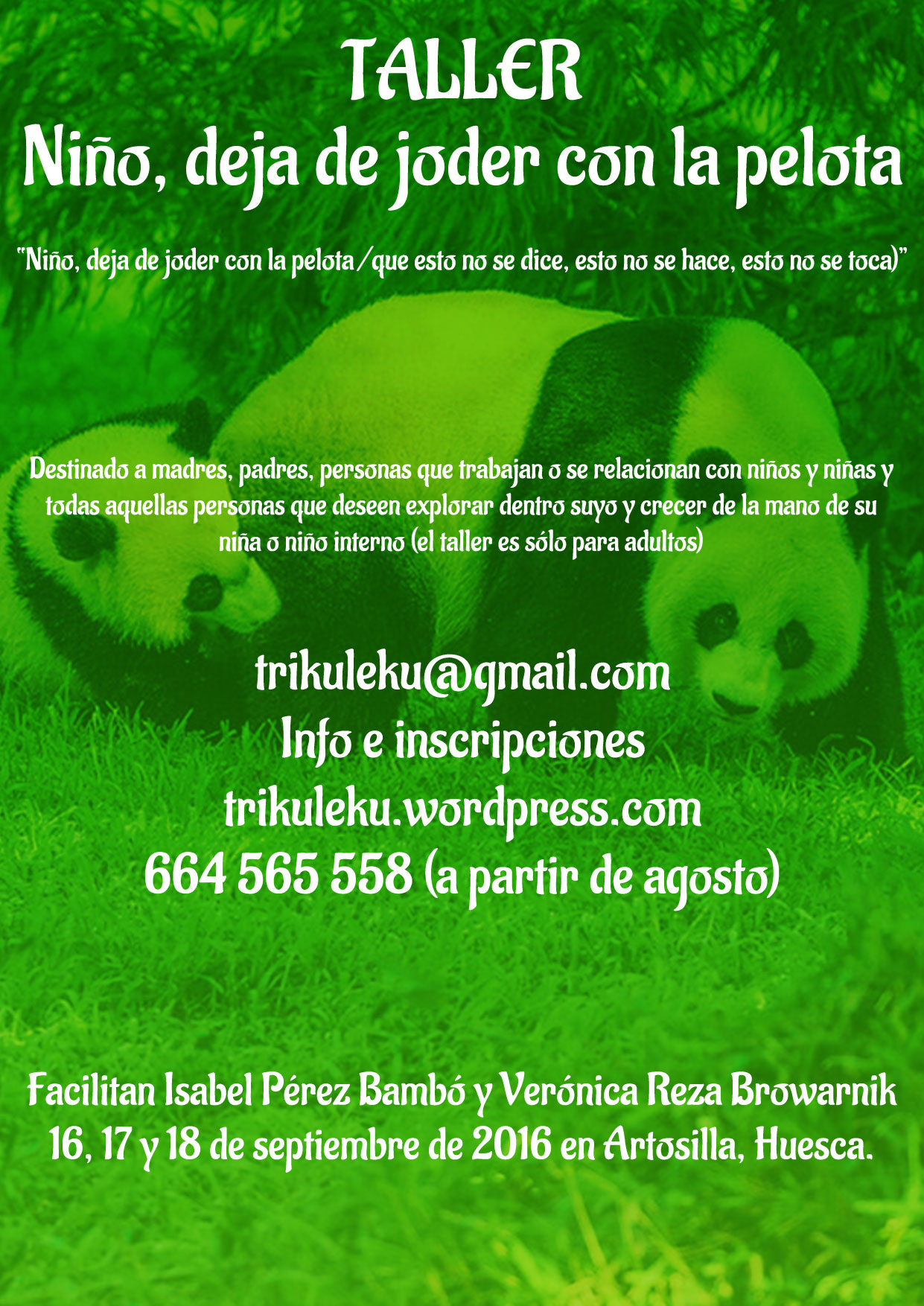 NIÑO, DEJA DE JODER CON LA PELOTA